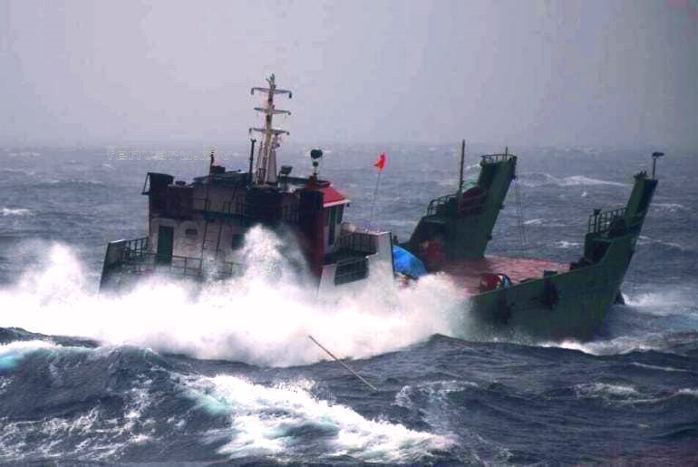 Moosum fenvaru Online