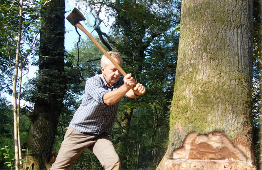 Cuttin tree Axe