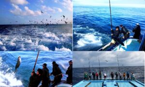 Fisherman maldives fenvaru