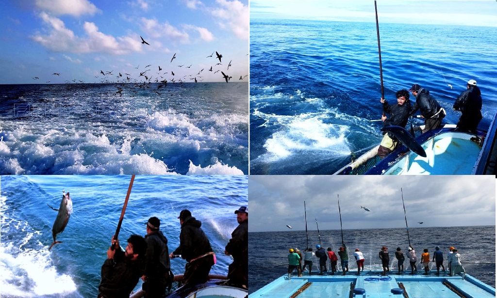 Fisherman maldives fenvaru
