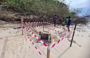 315716 3 c75aadbeaa9507d0f34845dca32f3e826fc4f6dc large