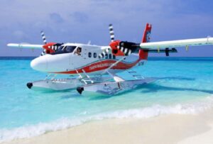 Img md 202003140808141584198494.4448