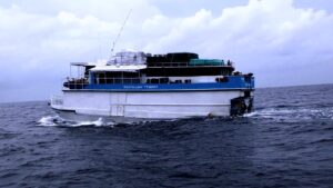 Police fenvaru Online