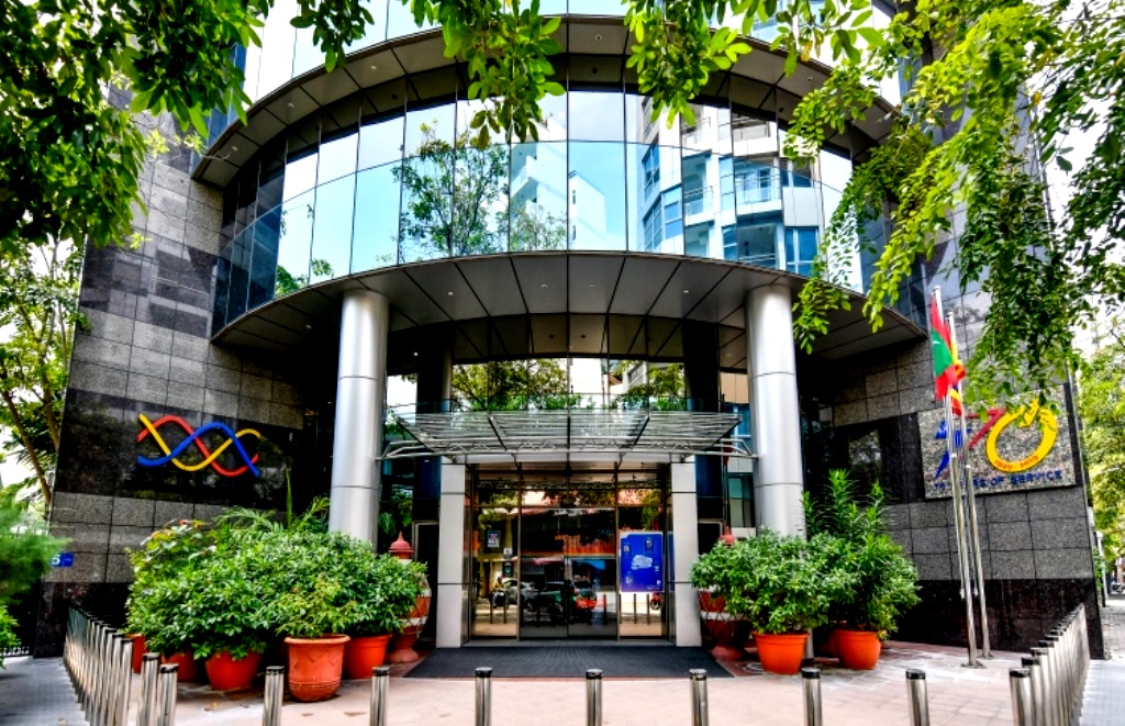 Stelco maldives fenvaru online