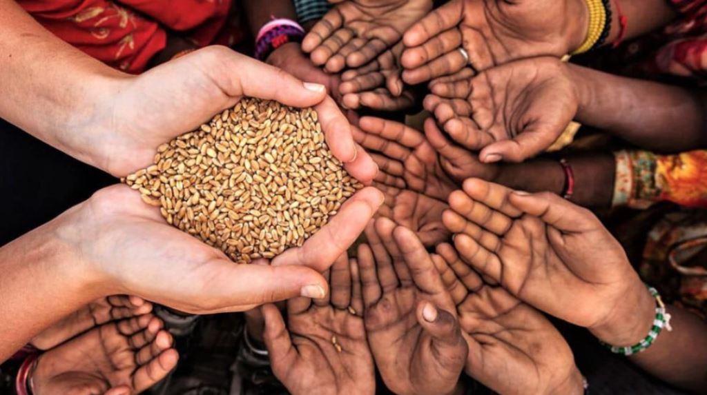 Dheenee vaahaka fenvaru Onine