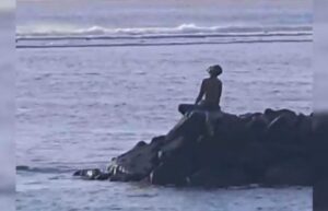 IMG 20221113 093928 717 850x548