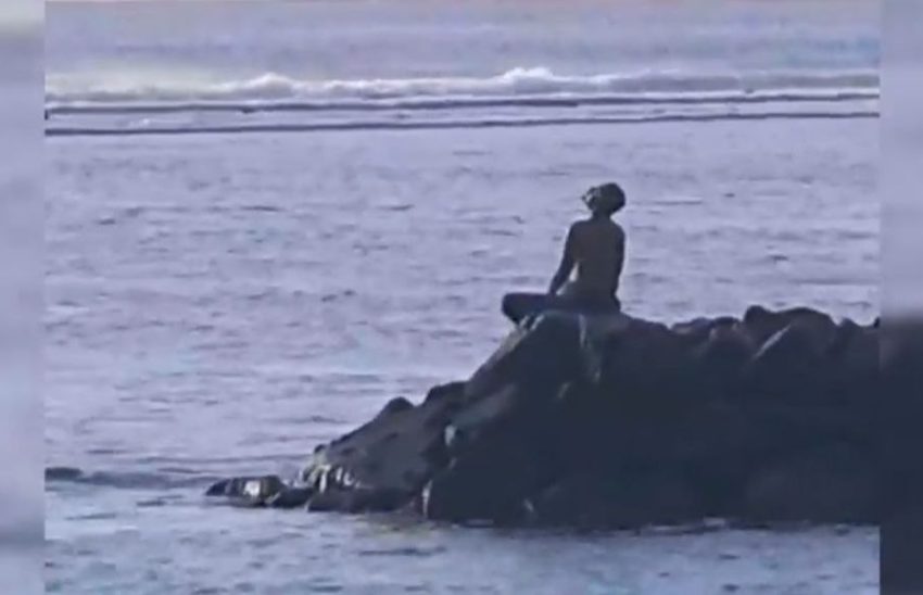 IMG 20221113 093928 717 850x548