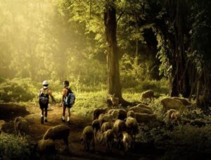 Vaahaka fenvaruonlinr