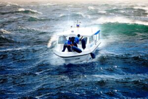 Moosum fenvaruonline