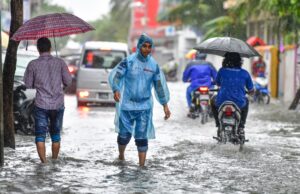 212491 3 45998421e4f30d9c8ad603414b441f7183e931e6 large