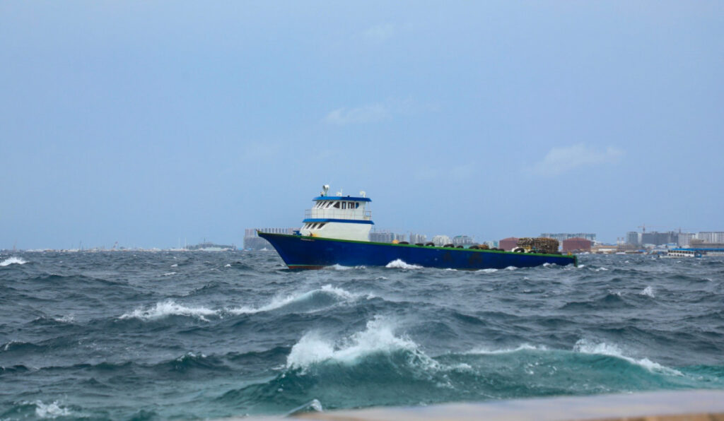 1li5w0d4rsFV07PanZcp