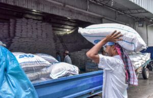 116618 3 564c1814be131972a47b5caf41de9c934e4c3d43 large