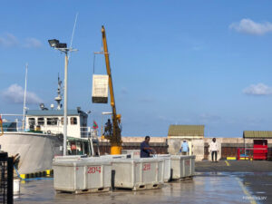 Big q9v23fiV1siPoDawbcYidlZOv