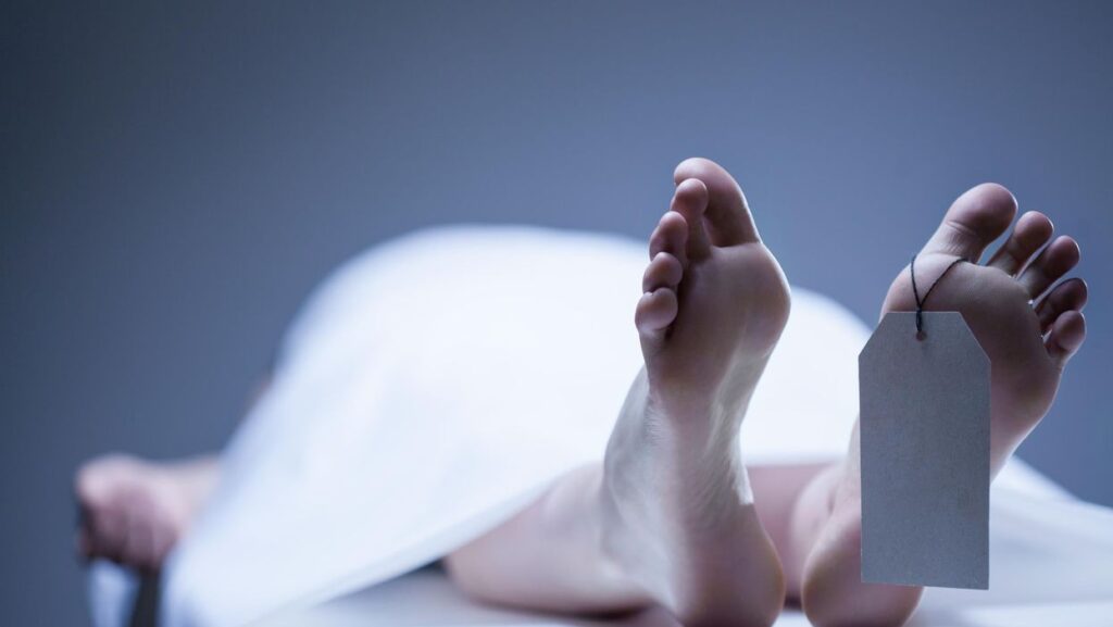 Scientist claims life after death is impossible