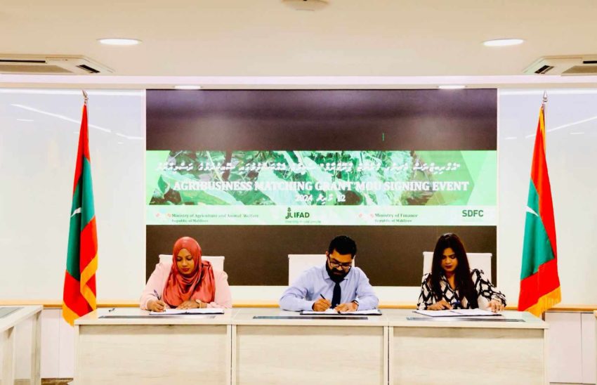 430854053 369050722621076 5778659203903007434 n 850x548