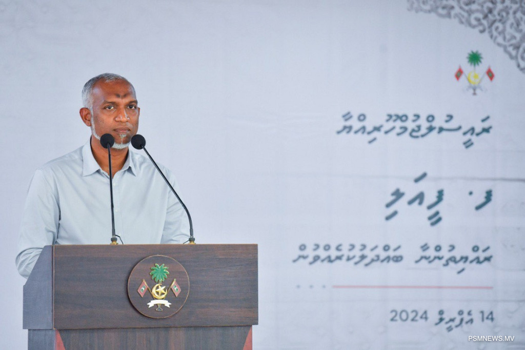 Big I1YLADjcPBSJvxJGtVoa40gNb