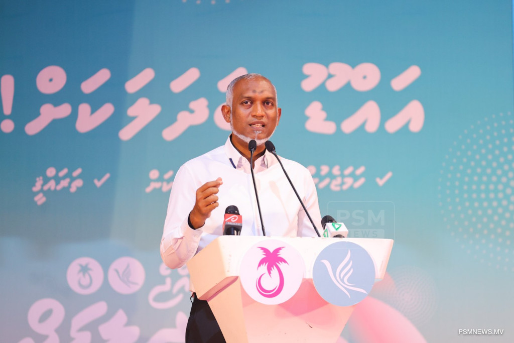 Big gMJf5PgRbrMqAmnQJRLlxruLp