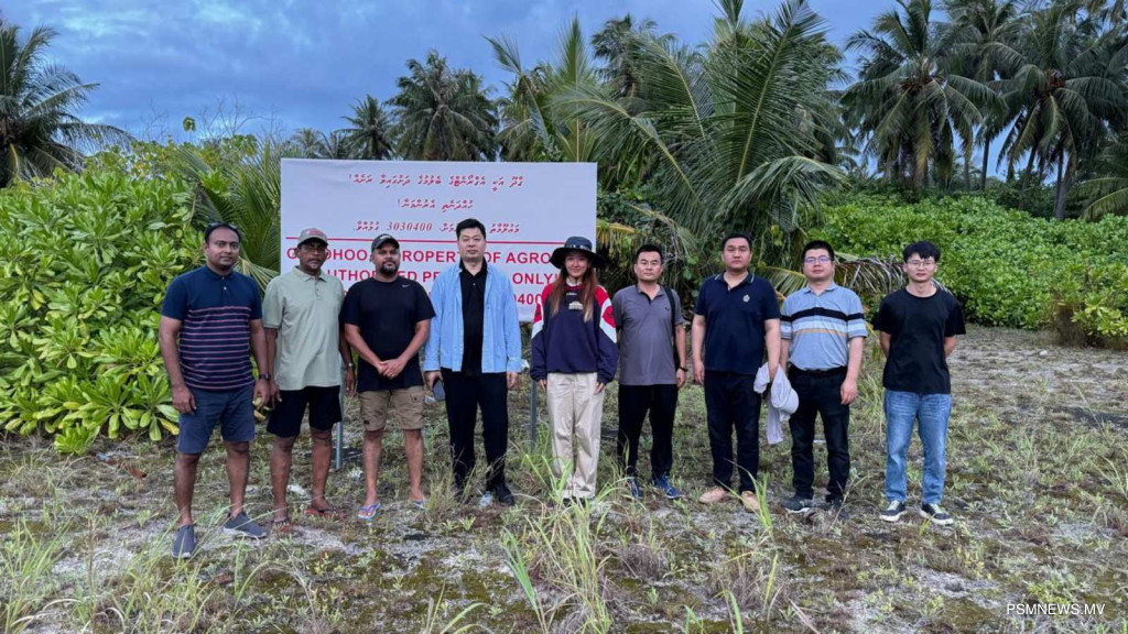 Big y3EC2arkLIHYBOmCFW2oCwwwe