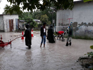 Large 152424465060LQug