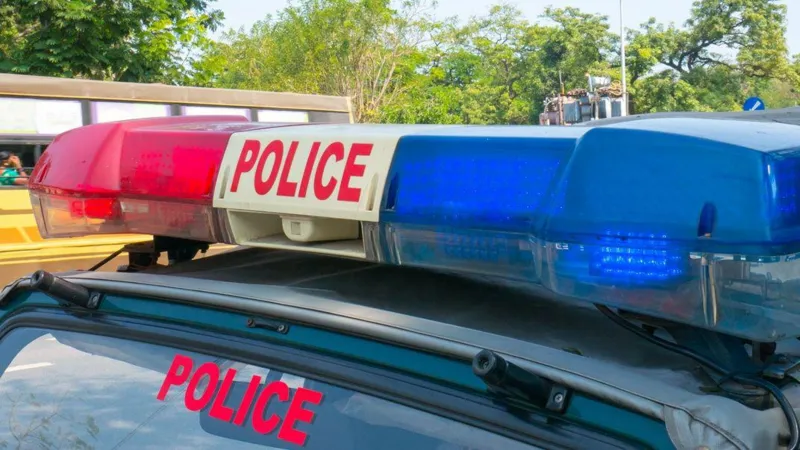 0e447af0 C68e 11f0 967a Cd30d7317be5.jpg