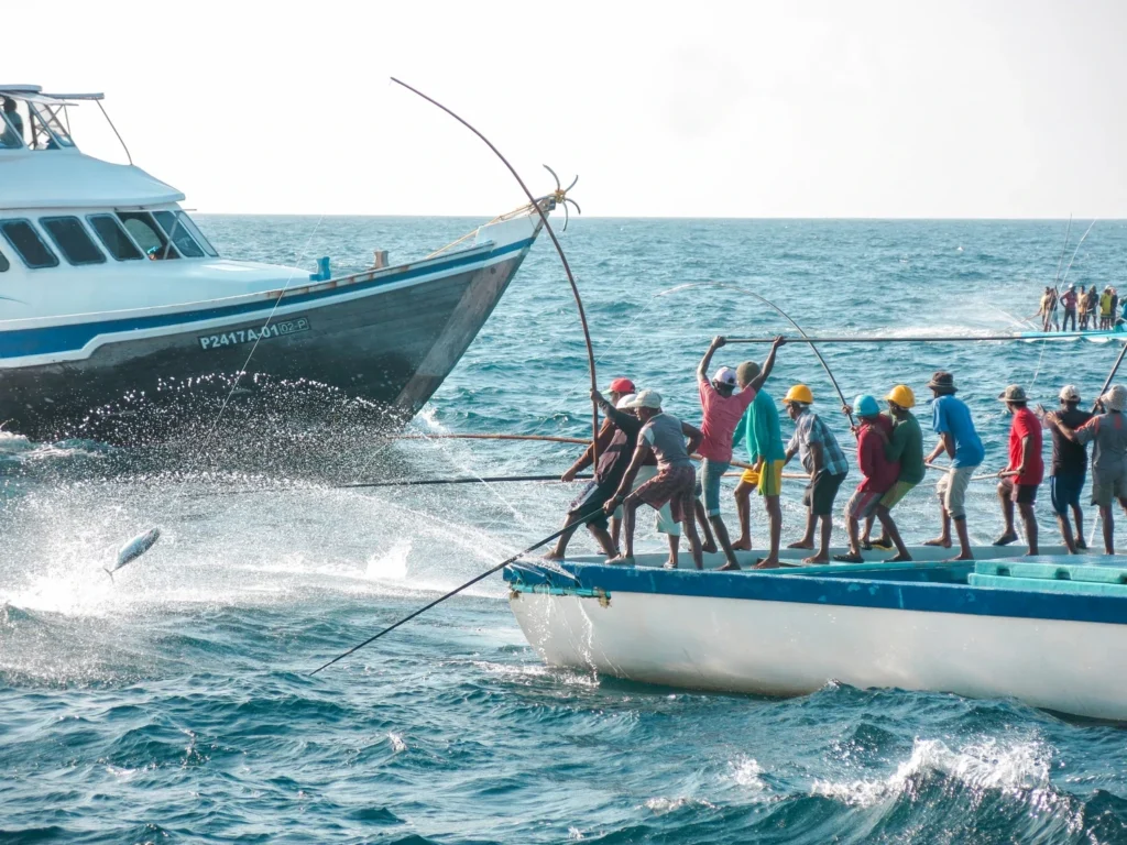 Maldives fisheries c IPNLF scaled 1755419490370