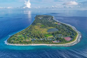 WhatsApp Image 2023 05 11 at